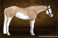 Horse Color:Liver Red Roan Pearl Splash 