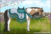 Horse Color:Buckskin Tobiano 