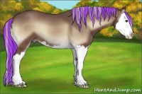 Horse Color:Painted Silver Blue Onyx Sabino Splash 