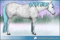 Horse Color:Watercolor Grullo Ice