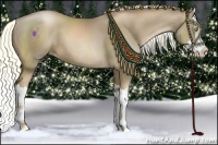 Horse Color:Liver Chestnut Pearl Sabino Splash 