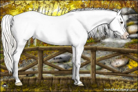 Horse Color:Liver Chestnut Mushroom Splash Appaloosa 