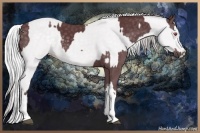 Horse Color:Chocolate Silver Smoky Black Chinchilla  and Chocolate Silver Smoky Creme Chinchilla 