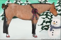 Horse Color:Bay Roan  and Bay Roan 