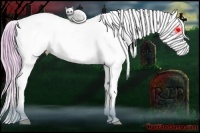 Horse Color:Watercolor Palomino Ice Dun Splash Appaloosa