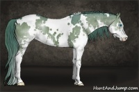 Horse Color:Watercolor White Spotted Grullo Splash