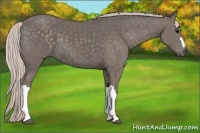 Horse Color:Silver Black 