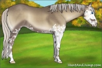 Horse Color:Silver Smoky Blue Onyx Splash