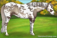 Horse Color:Silver Blue Onyx Splash Tobiano