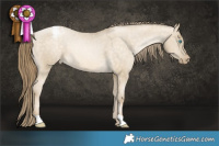 Horse Color:Buckskin Pearl Dun Appaloosa 