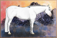 Horse Color:Gray Silver Amber Cream Champagne Roan Dun Splash Tobiano Frame Appaloosa Rabicano 