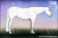 Horse Color:Gray Silver Amber Cream Champagne Roan Dun Splash Tobiano Frame Appaloosa Rabicano 