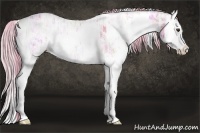 Horse Color:Watercolor White Spotted Chestnut Ice Splash