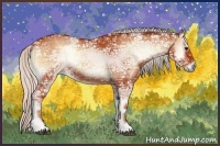 Horse Color:Silver Bay Ice Onyx Sabino 