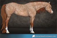 Horse Color:Red Dun Ice Rabicano 