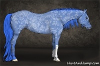 Horse Color:Watercolor Bay Ice Rabicano 