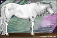 Horse Color:Silver Buckskin Chinchilla Tobiano 