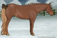 Horse Color:Red Roan 