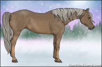 Horse Color:Chocolate Palomino 