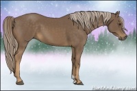 Horse Color:Chocolate Palomino 