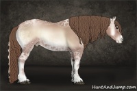 Horse Color:Blue Onyx Ice Pearl Sabino Rabicano