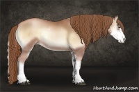 Horse Color:Red Onyx Pearl Sabino Rabicano