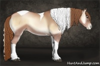 Horse Color:Red Onyx Pearl Tobiano 