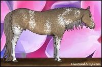 Horse Color:White Spotted Chocolate Palomino