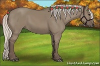 Horse Color:Silver Grullo 