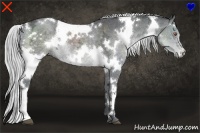 Horse Color:White Spotted Silver Black Chinchilla Ice