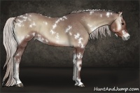 Horse Color:White Spotted Chocolate Silver Blue Onyx Sabino 