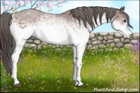 Horse Color:White Spotted Bay Varnish 