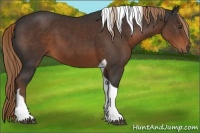 Horse Color:Liver Chestnut Tobiano 