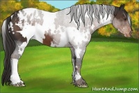 Horse Color:White Spotted Liver Chestnut Blanket 