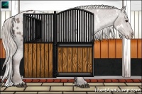 Horse Color:White Spotted Chocolate Silver Black Sabino Appaloosa 