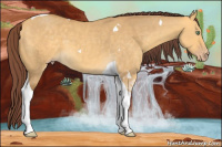 Horse Color:Chocolate Sable Cream Champagne Dun Sabino Tobiano