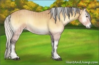Horse Color:Buckskin Roan Onyx and Silver Buckskin Onyx