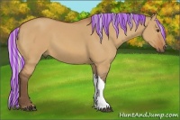 Horse Color:Painted Silver Bay Dun