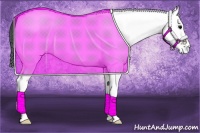 Horse Color:White Spotted Brown Tobiano 