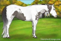 Horse Color:Smoky Grullo Ice Splash Tobiano 