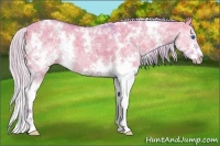 Horse Color:Watercolor White Spotted Silver Grullo Ice Splash