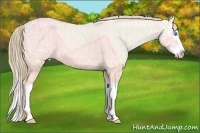 Horse Color:Smoky Creme Ice Dun Splash 