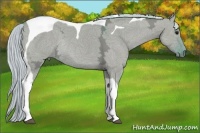 Horse Color:Watercolor Silver Grullo Ice Tobiano Rabicano 