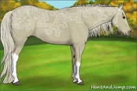 Horse Color:Watercolor Silver Smoky Black Ice 