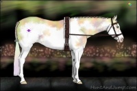 Horse Color:Nacre Silver Amber Cream Champagne Dun Splash Frame 