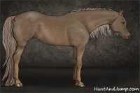 Horse Color:Chocolate Palomino 