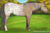 Horse Color:Nacre Liver Red Dun Ice 