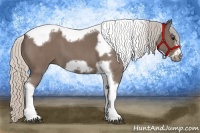 Horse Color:Silver Blue Roan Tobiano Frame 