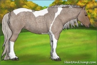 Horse Color:Silver Blue Roan Tobiano 