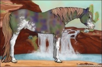 Horse Color:Nacre Liver Chestnut Sabino 